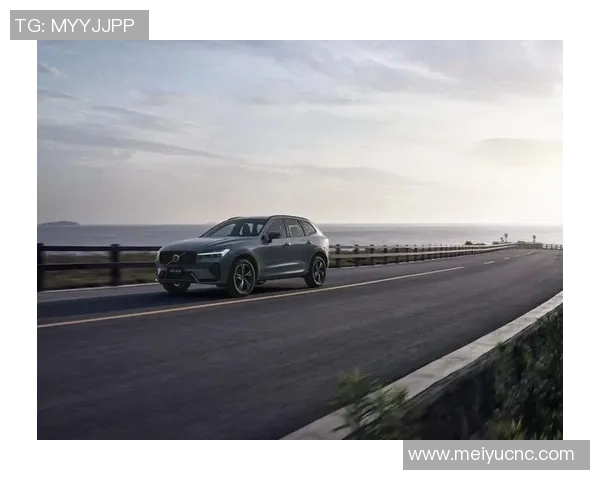 足球明星们是否选择开沃尔沃汽车来展现他们的个性与品味