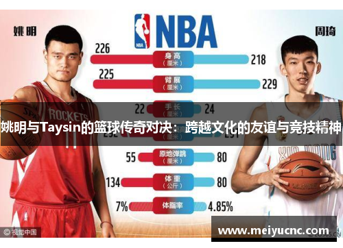 姚明与Taysin的篮球传奇对决：跨越文化的友谊与竞技精神